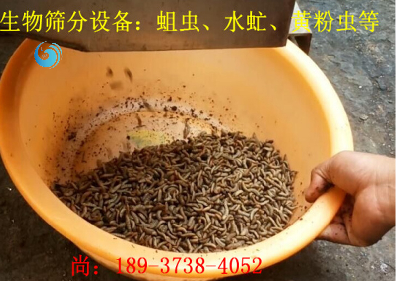 蛆虫筛选3层麻豆网视频免费观看